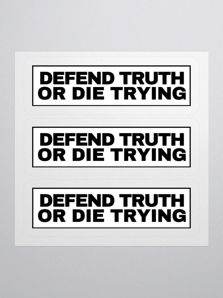 "Defend Truth Or Die Trying" Sticker Sheet product image (1)