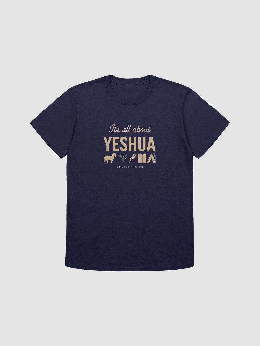 It's All About Yeshua T-Shirt product image (4)