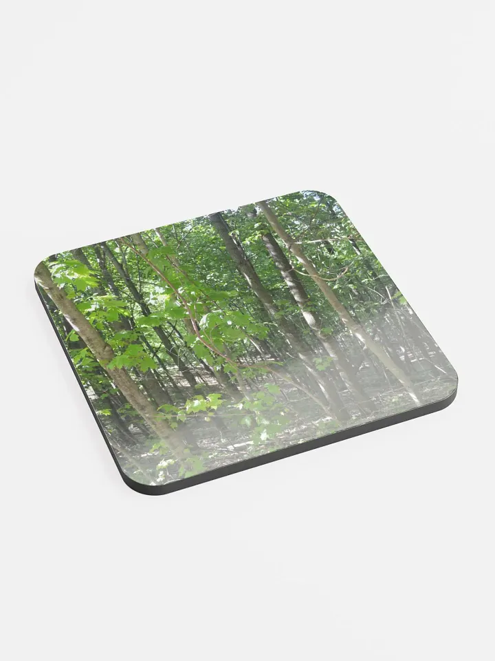 Forest Cork Coaster product image (1)