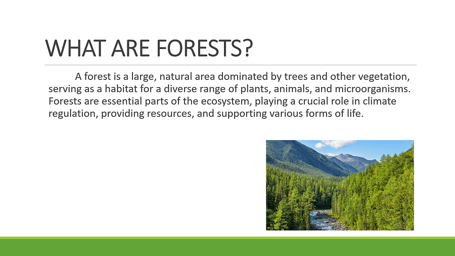 Forest Conservation PPT Presentation product image (2)