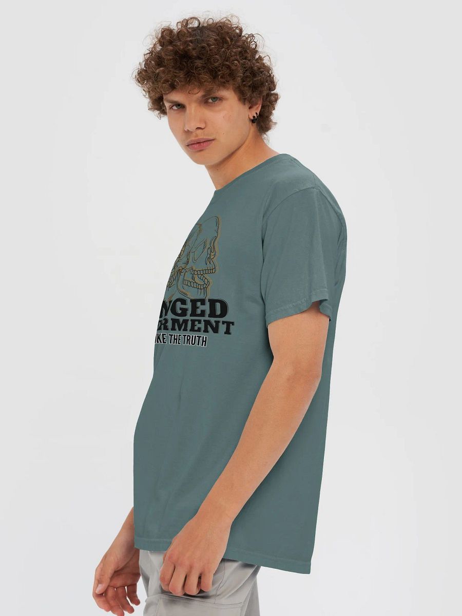TRUTH TRIGGERS product image (6)