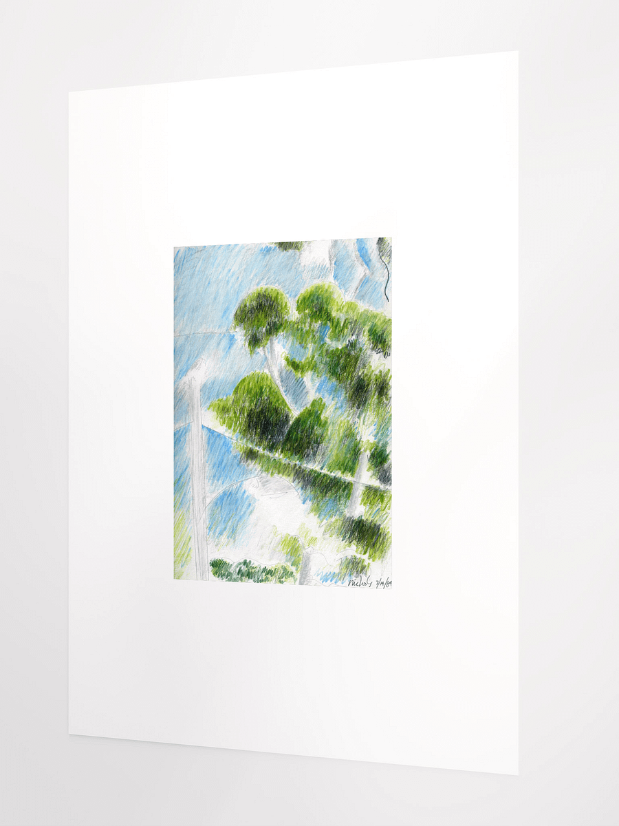 Eucalyptus 1984 print product image (3)