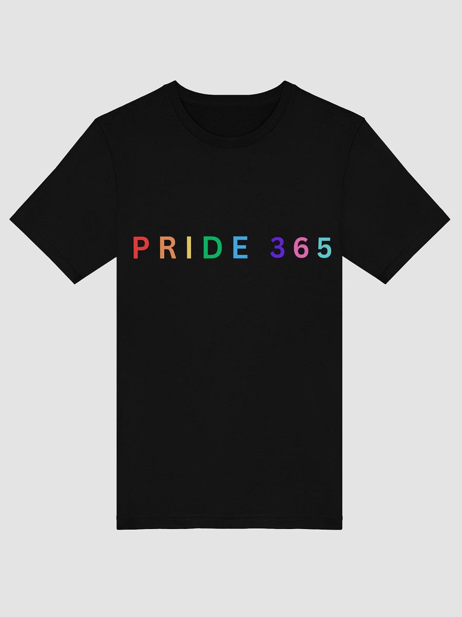 Pride 365 Tee product image (40)