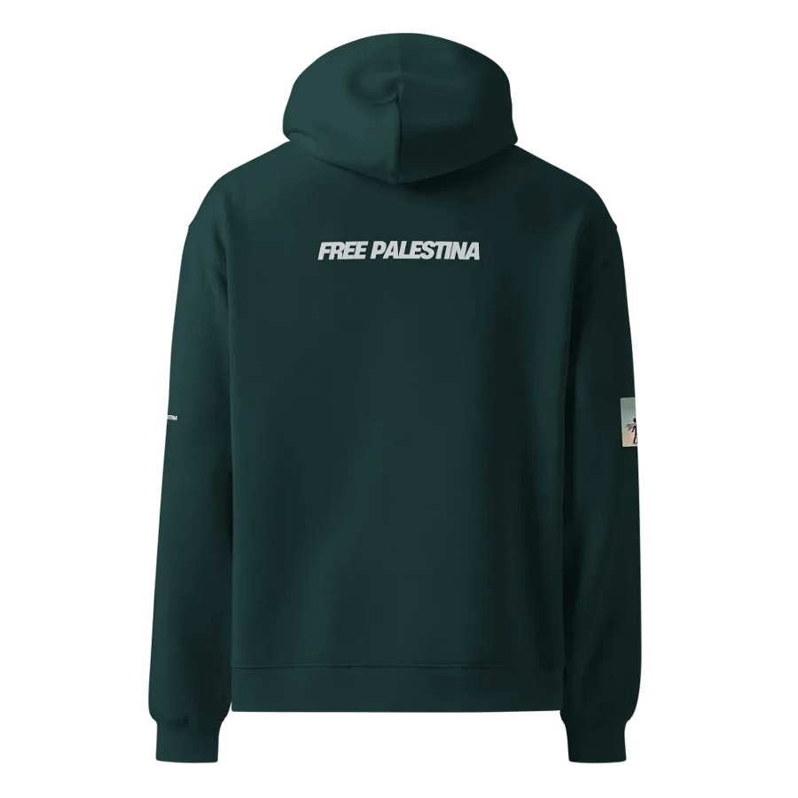 AS Colour Unisex Premium Oversized Hoodie | AI design FREE PALESTINA product image (3)