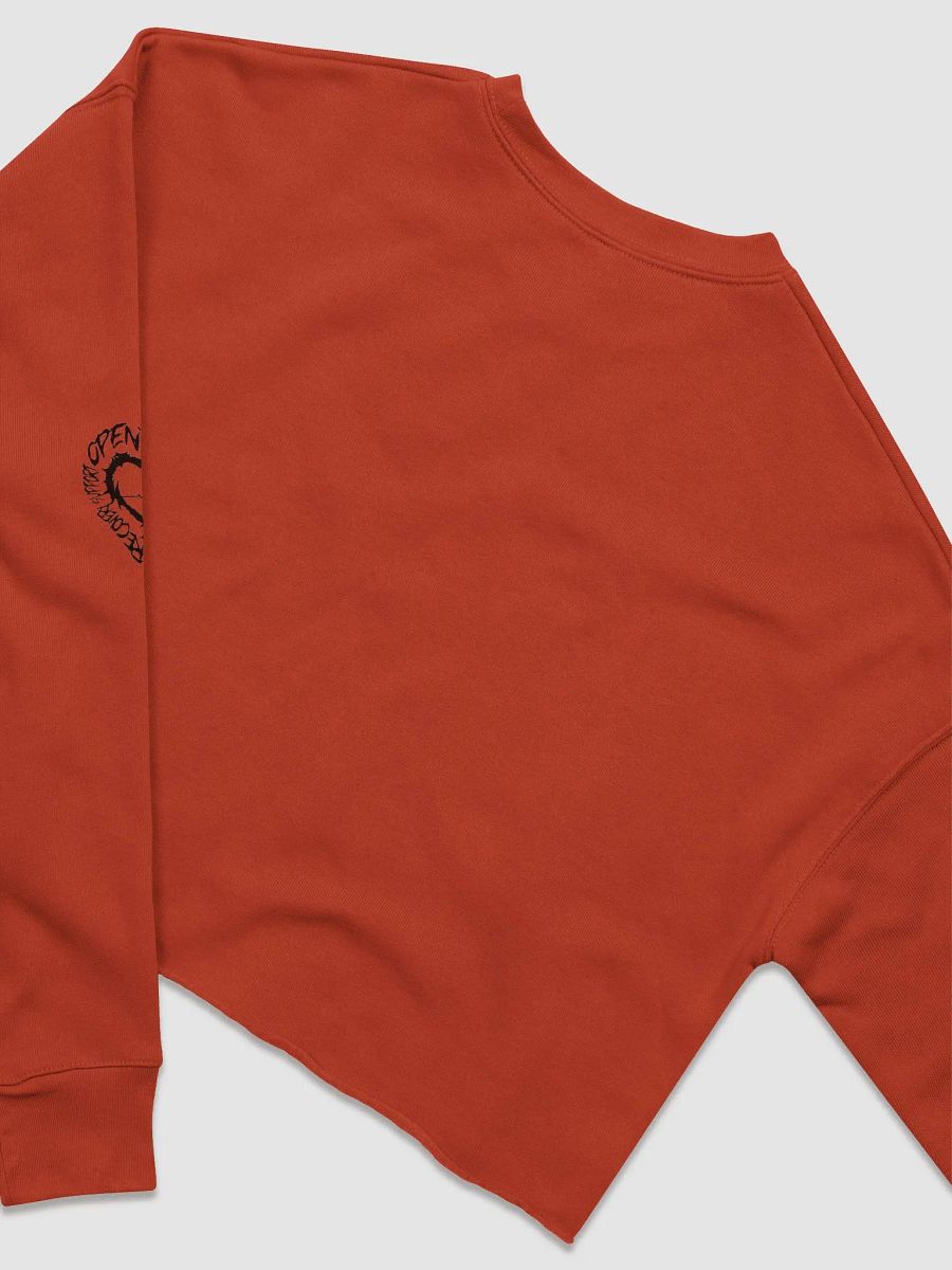 .strife OJARS LOGO CROP TOP SWEATER product image (4)