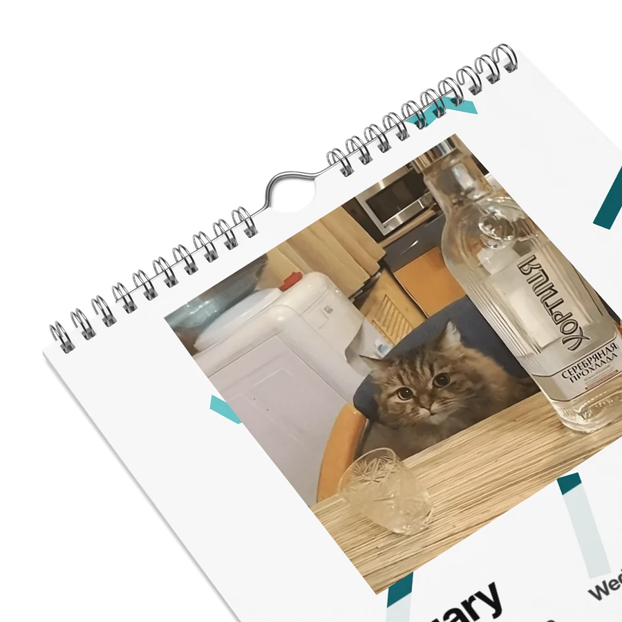 Wall Calendar (2024): Meme Cats product image (9)