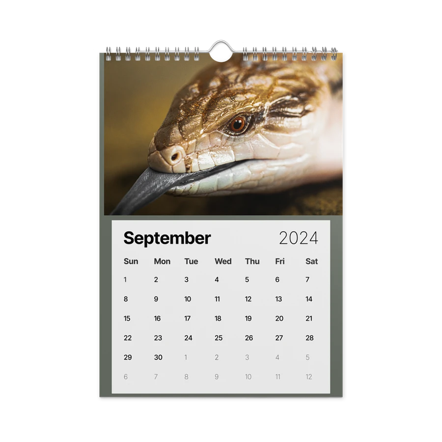 Alveus 2024 Calendar product image (18)