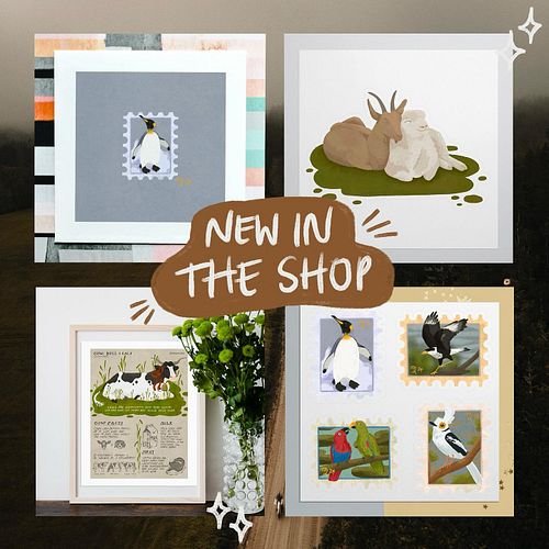 ✨ NEW IN ✨ 
I finally came around to upload new prints and stickers! All finished #veganuary and #birbfest2024 illustrations ...