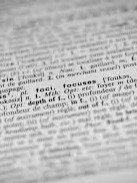 Dictionary & Translation Software product image (3)