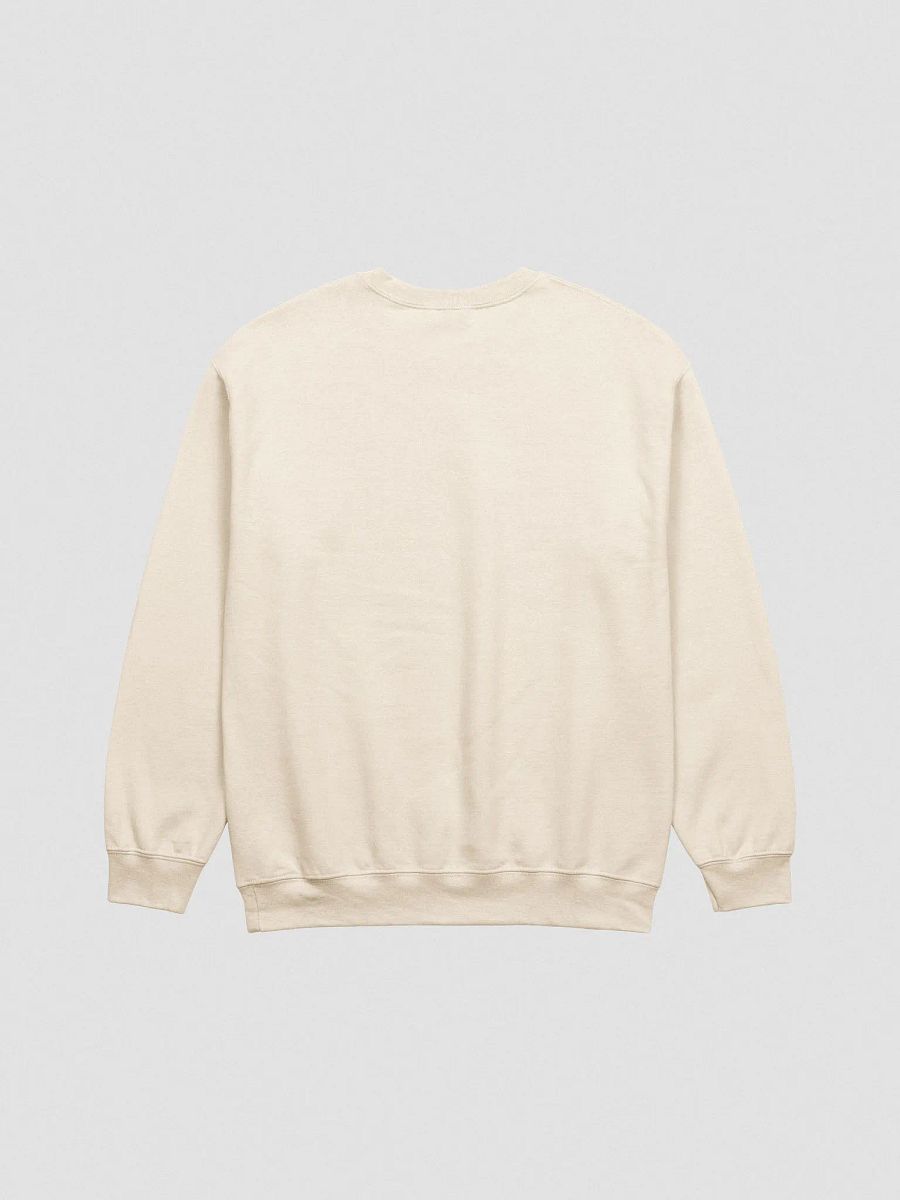 Read Good Books (Script) | Embroidered Crewneck product image (3)