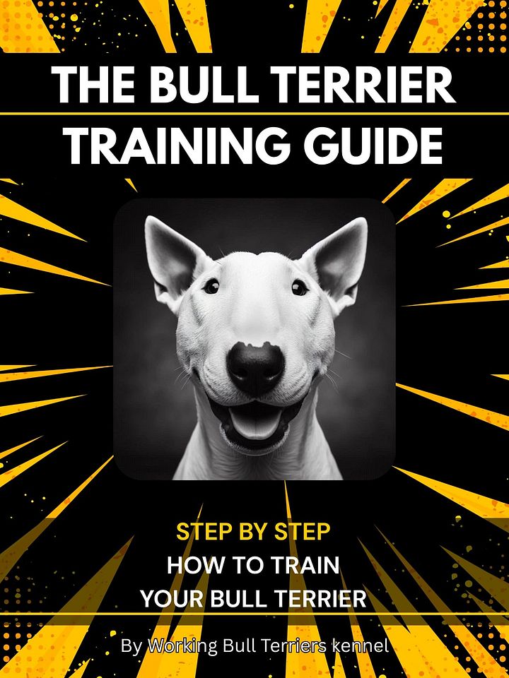 The Bull Terrier Training Guide product image (1)