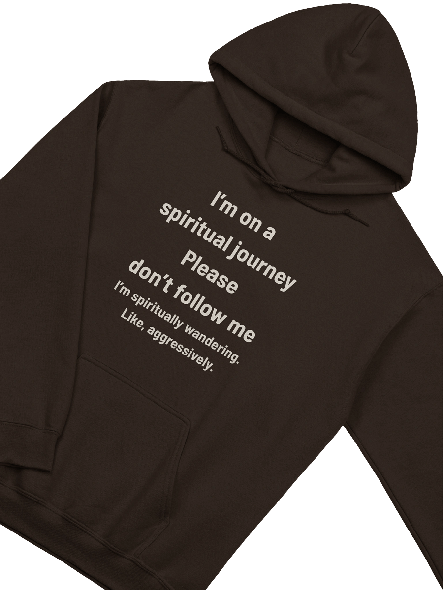 I’m on a Spiritual Journey… Please Don’t Follow Me | Funny Christian Wanderer Hoodie product image (11)