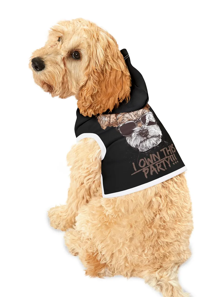 PAPASITOS PAWS OWN PARTY HOODIE product image (9)