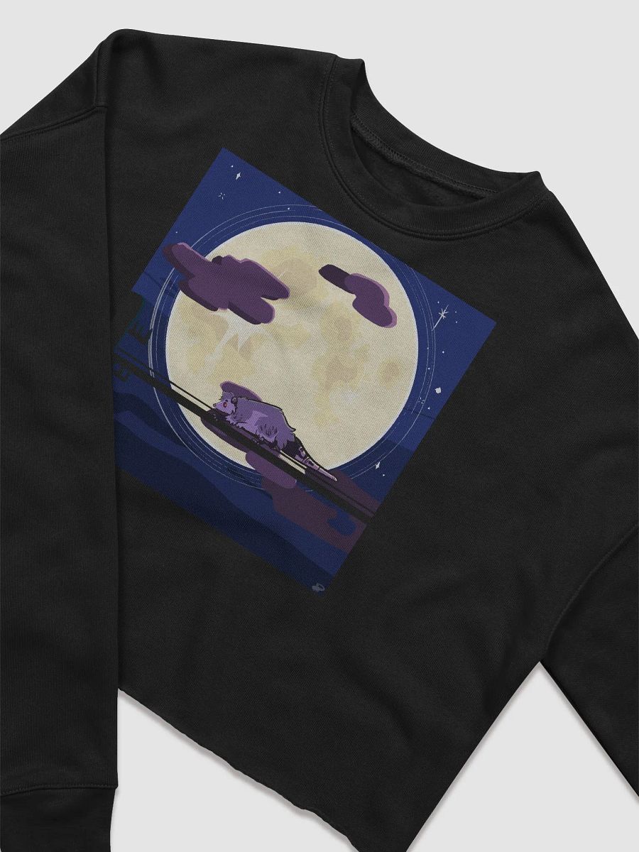 Poss on a Wire Crop Sweater product image (3)