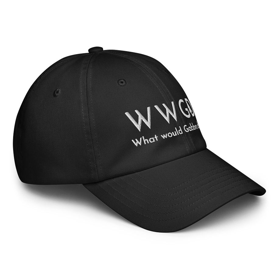 "What Would Gabbro Do?" Hat product image (6)