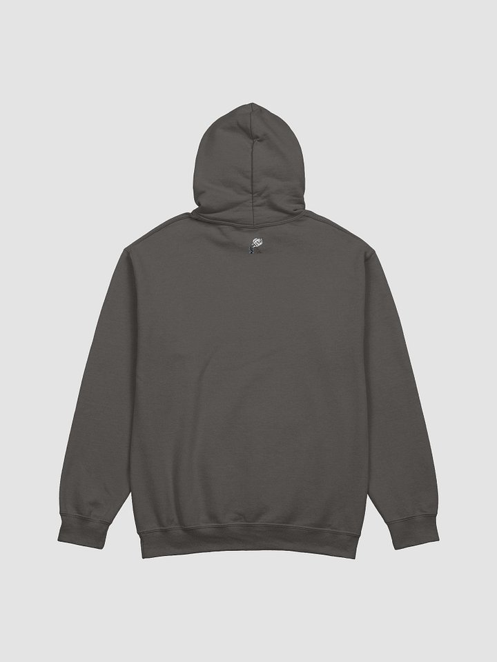 Do Not Disturb: Introvert in Recovery Hoodie product image (10)