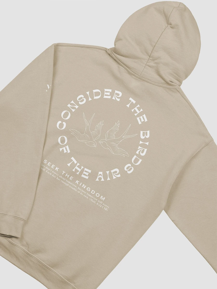 Consider the Birds Hoodie product image (4)