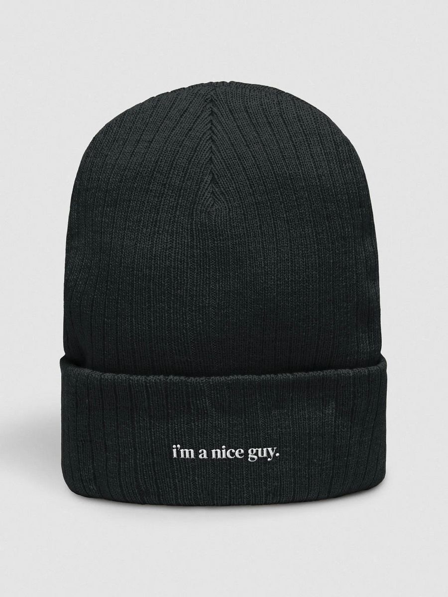 nice guy beanie product image (1)
