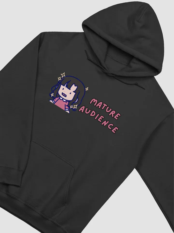 Mature Audience Hoodie! product image (6)