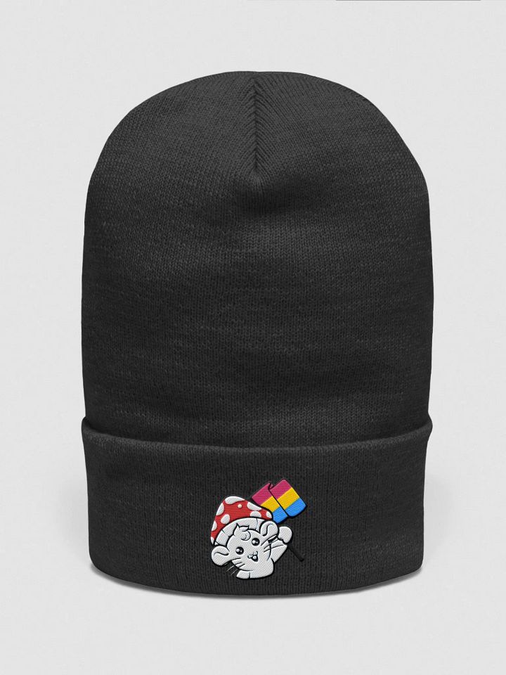 Pansexual beanie product image (2)