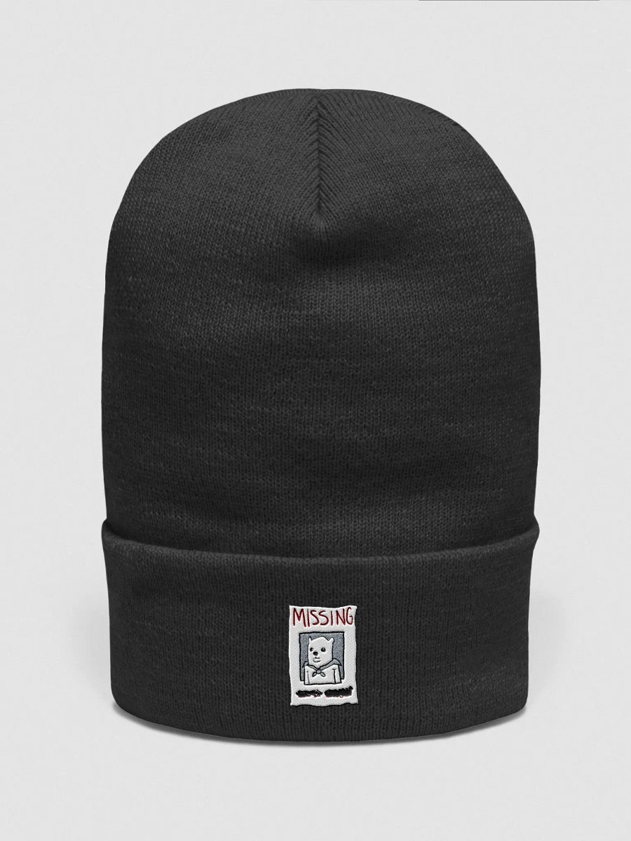 missing beanie product image (1)