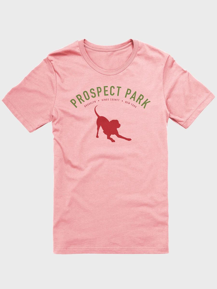 Prospect Park Pink Tee product image (1)