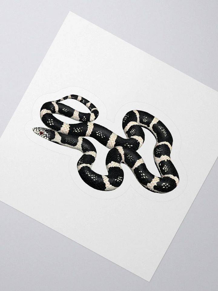 Die-Cut Sticker – Longnosed Snake Clarus Phase product image (2)
