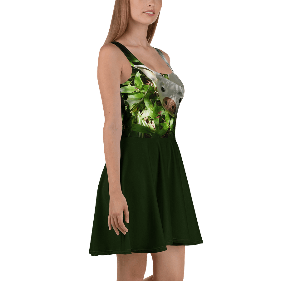 Flying Pig Dress product image (3)