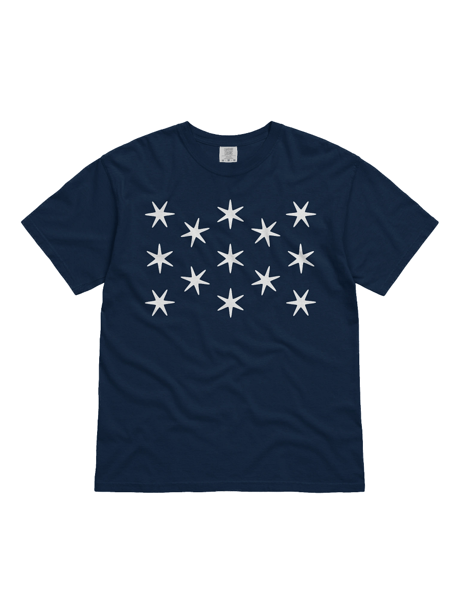 Washington Standard T-shirt product image (1)