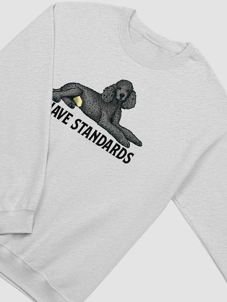 I Have Standards Sweatshirt of a Standard Poodle(Gray) | Funny Shirt for Poodle Paw-rents product image (26)