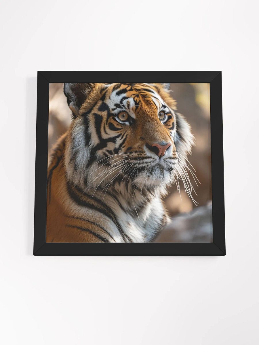 Tiger Solitude: A Portrait of Majestic Calm product image (4)