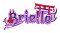 BrieFoxVT