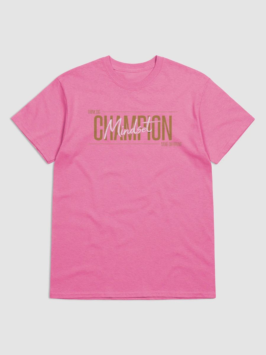Champion Mindset product image (47)