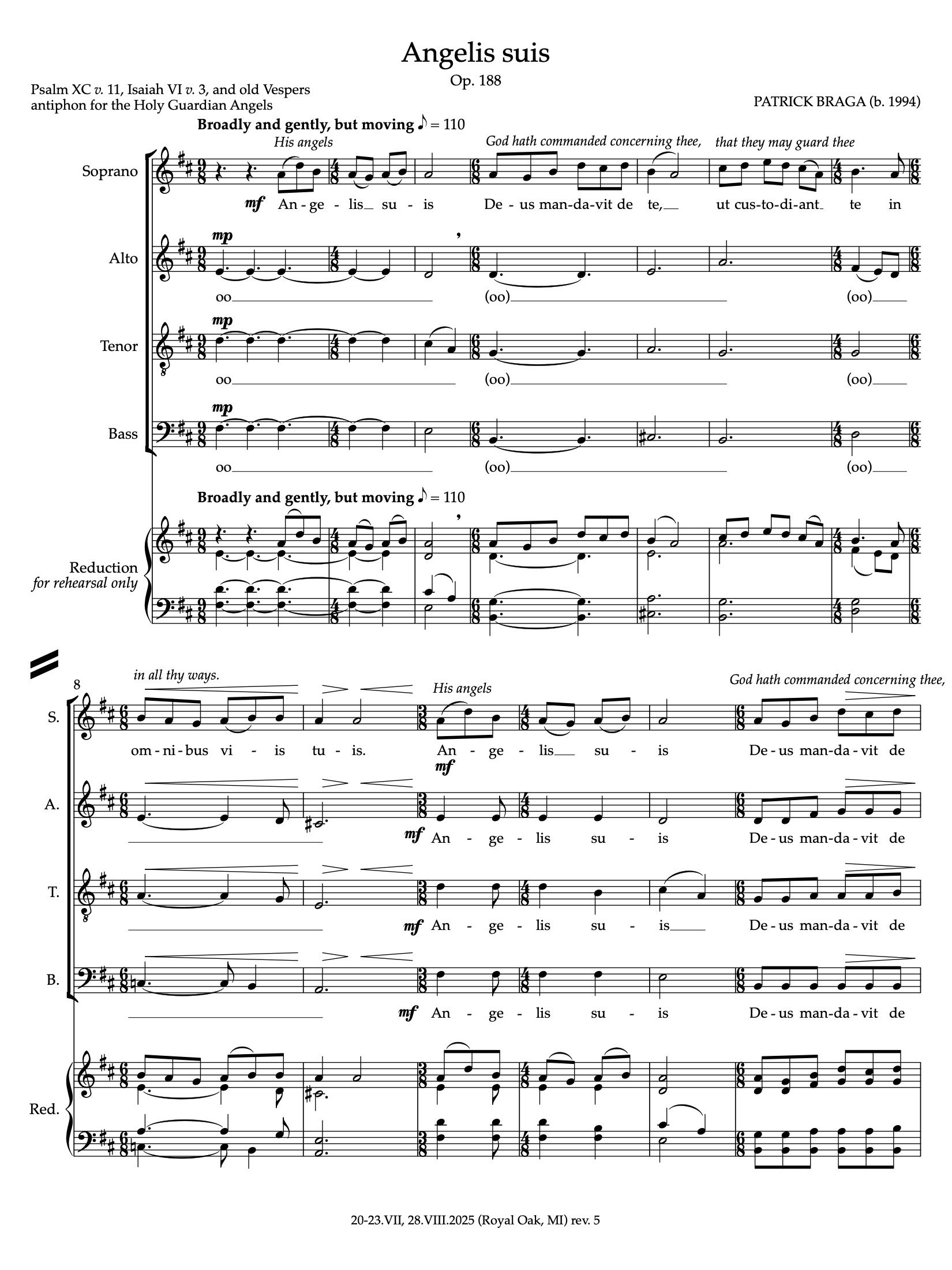 #188 - Angelis suis product image (2)