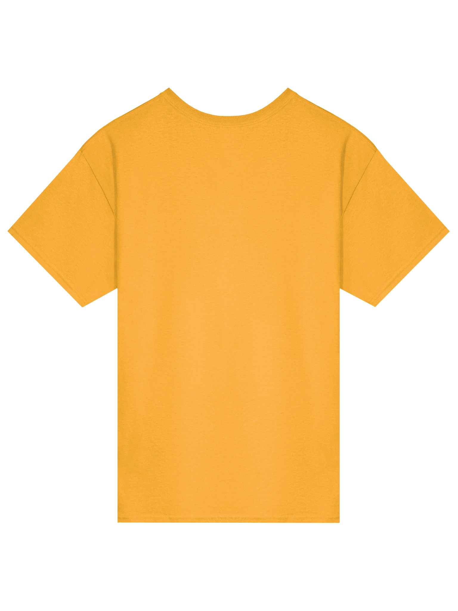 No Zoombini Left Behind T-Shirt product image (74)