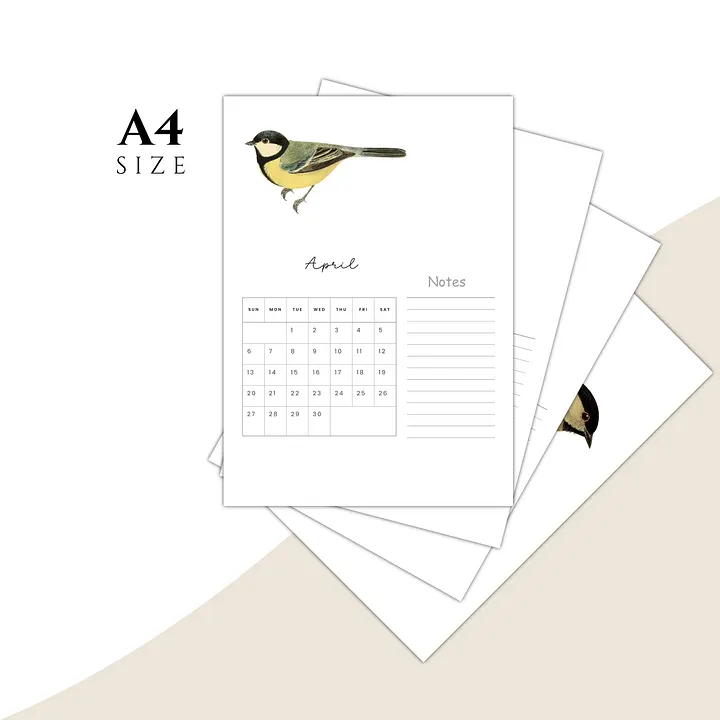 2025-2026 PDF Calendar: American Birds product image (2)