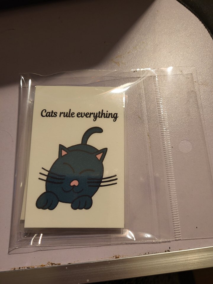 Cats Rule Everything Magnetic Laminated Bookmark product image (2)