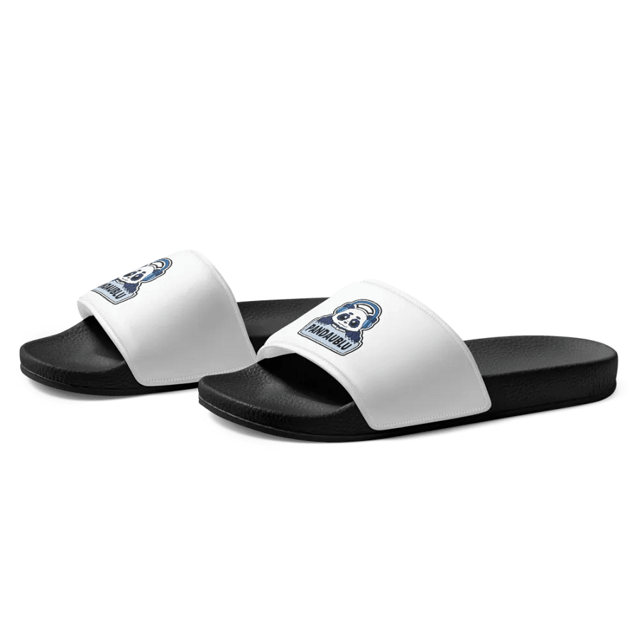 slides product image (3)