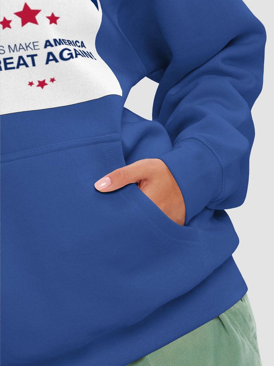 Lets Make America Great Again 2024 Premium Hoodie product image (16)