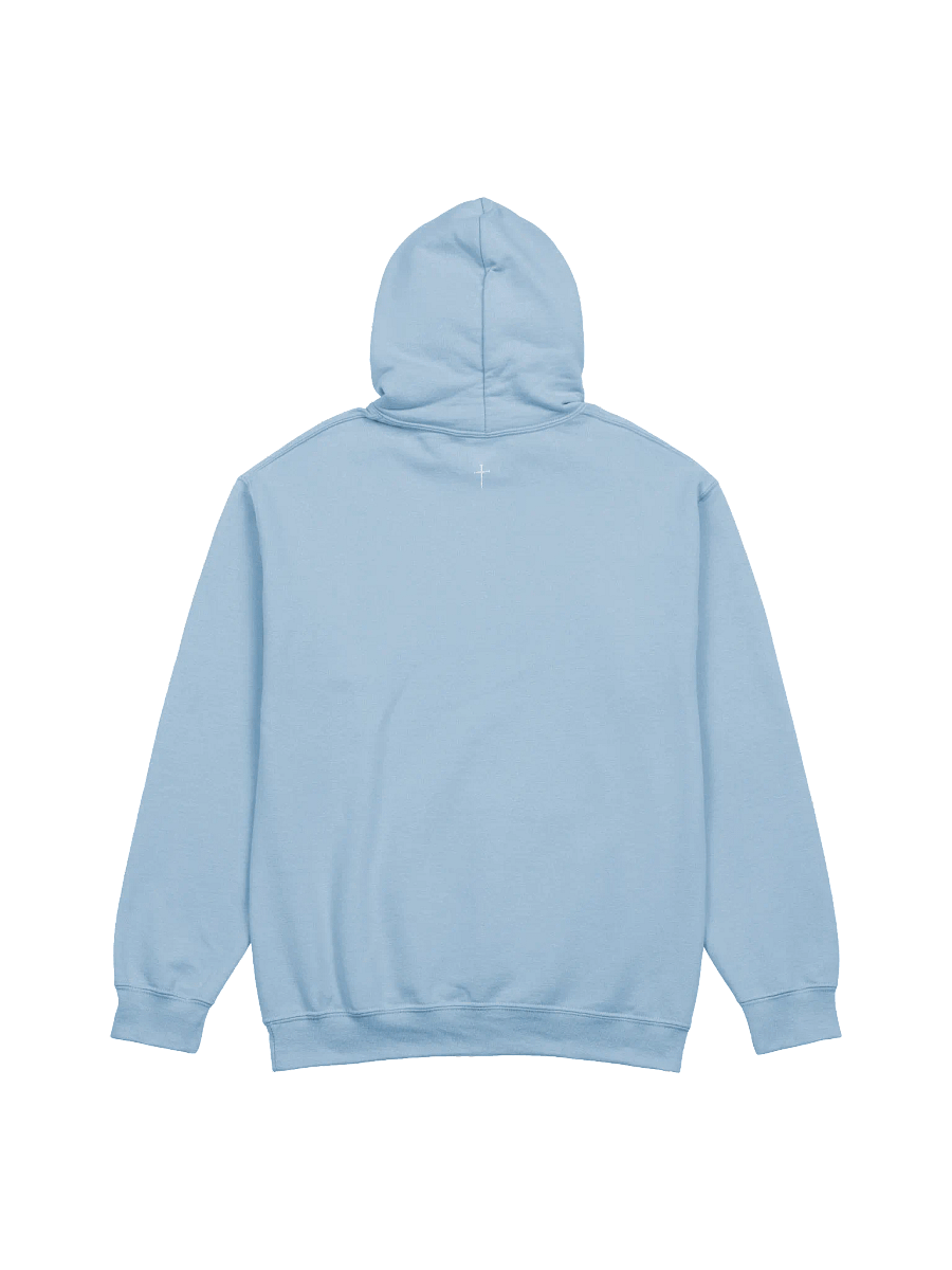 He Must Increase - Hoodie product image (25)