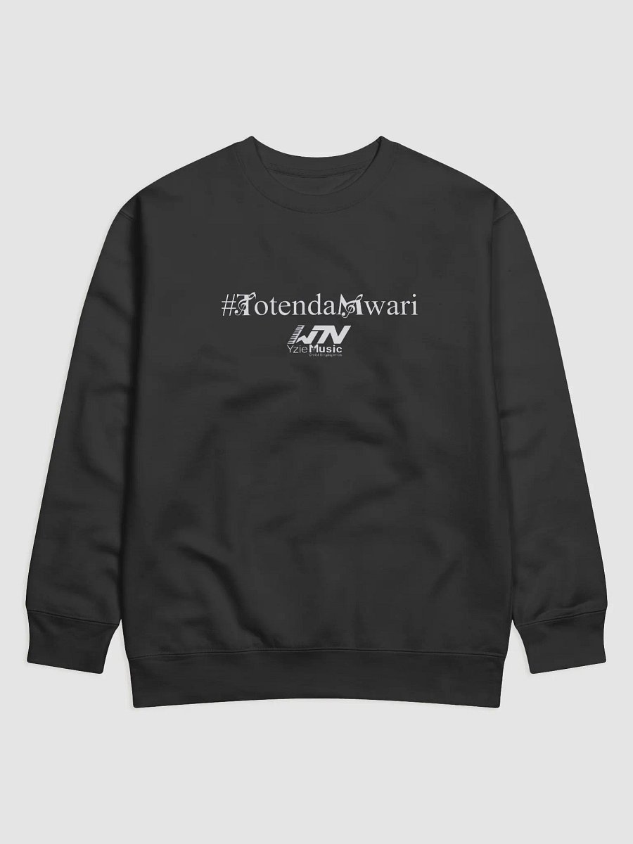WTW Ziel Music Premium Sweatshirt product image (1)