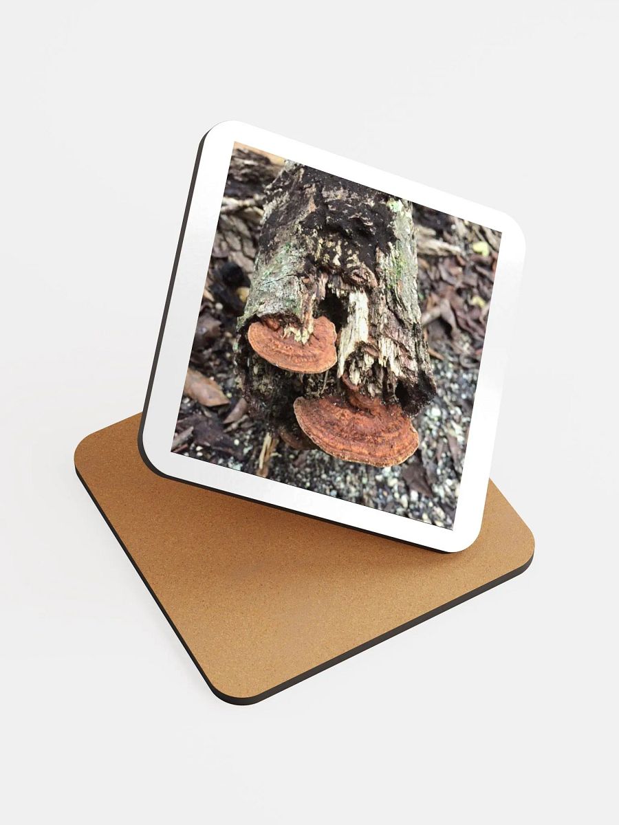 Tree trunk photo coaster product image (3)