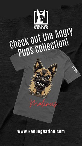 Did your dog misbehave today?
These Angry Pups are as bad as they come (but still cute while they are being bad). 😈
Keep the ...