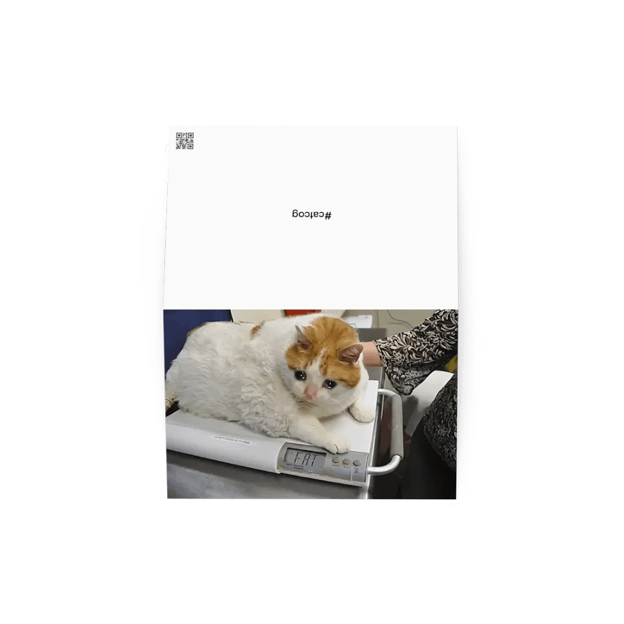 Greeting Card: Meme Cats product image (1)