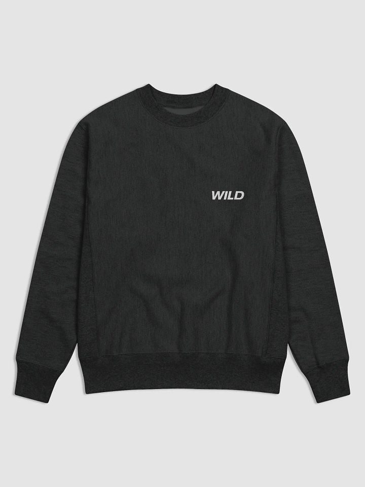 WILD ONES X Champion Crew Sweatshirt product image (2)
