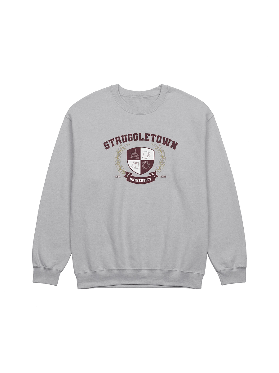 Struggletown University - Grey product image (4)