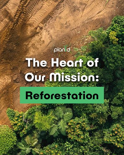 As we celebrate Earth Day this April 22nd, Plantd is taking action through reforestation. 🌱

Why reforestation matters: 

Fig...