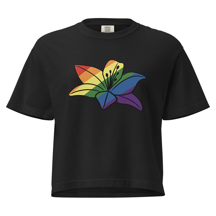 Pride Box Tee product image (1)