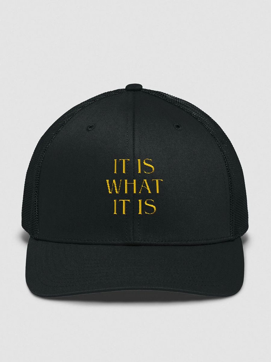 It Is What It Is Hat product image (2)