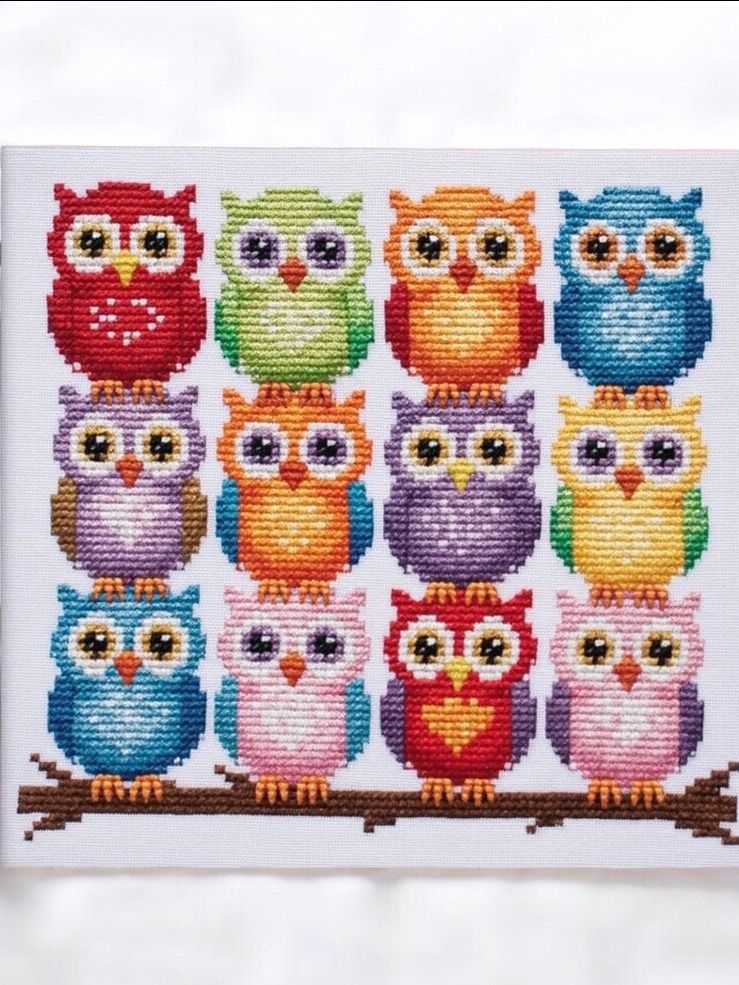 Colorful Baby Owls product image (1)